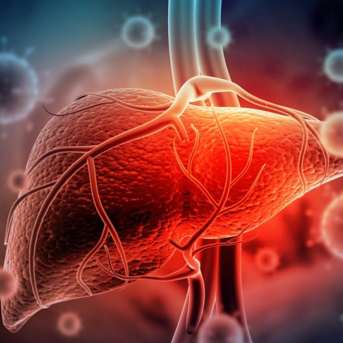 Hepatita autoimună, o boală inflamatorie cronică a ficatului: detalii și diagnostic