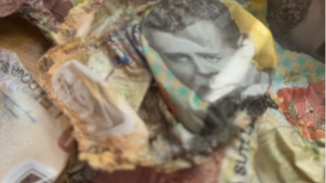 Bancnote deteriorate schimbate de Banca Națională a României
