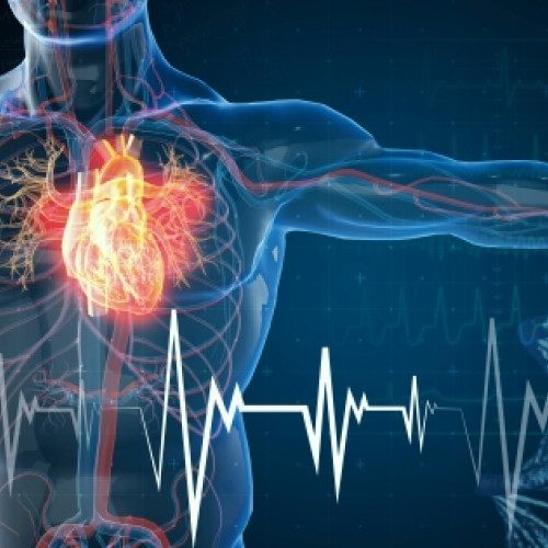 Legătura surprinzătoare între constipație și riscurile cardiace, descoperită de cercetătorii australieni