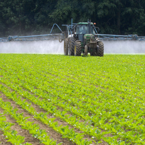 O anchetă dezvăluie exporturile de pesticide interzise de Franța