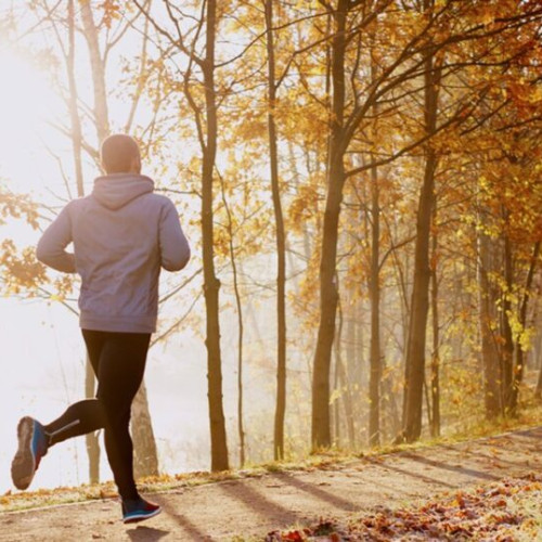 Activitatea fizică la ore specifice poate reduce riscul de cancer colorectal