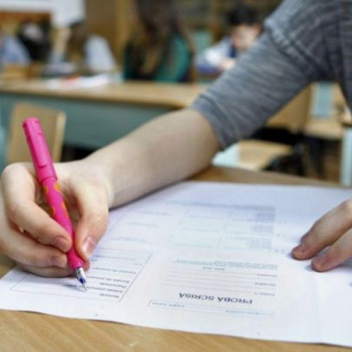 Simularea Evaluării Naționale și a Bacalaureatului, desfășurată cu o prezență mare la Iași
