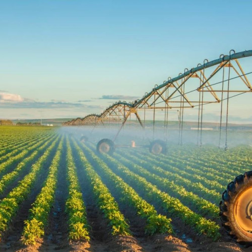 Universitatea de Științele Vieții din Iași lansează un centru avansat pentru cercetarea în agribusiness