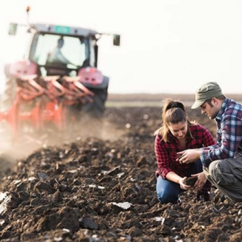 Manual tehnic pentru educația agricolă, tradus cu sprijinul Forumului APPR