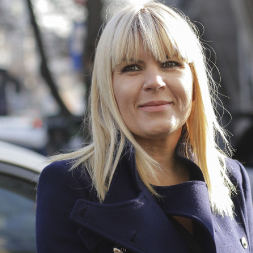 Tribunalul Prahova urmează să decidă asupra contestației Elenei Udrea