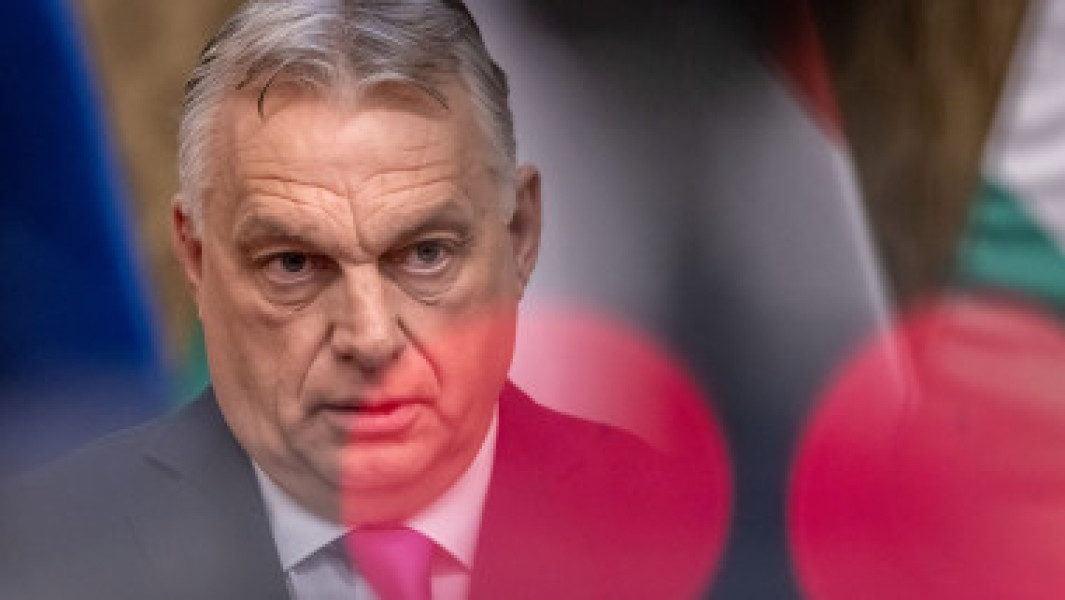 Copac căzut pe tramvai în zona Piața George Coșbuc din Sectorul 5 al Capitalei