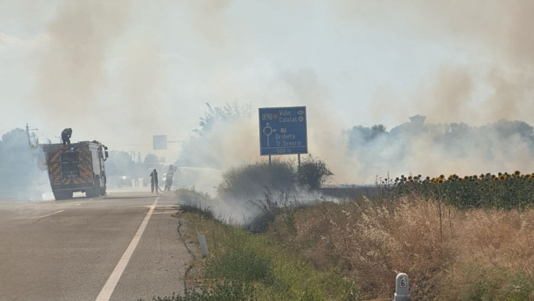 Incendiu de vegetație uscată în Maglavit, judetul Dolj