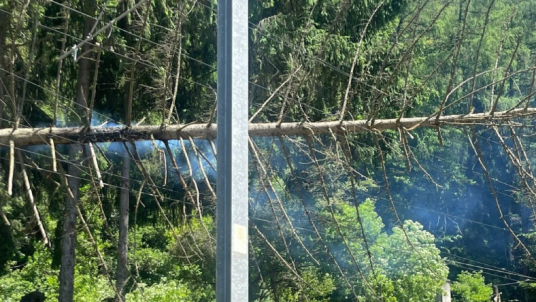 Trafic feroviar blocat între Sinaia și Bușteni din cauza unui copac căzut pe calea ferată