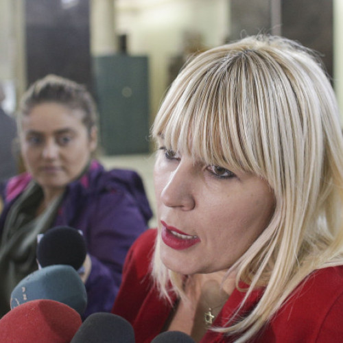 Elena Udrea se află în continuare internată după intervenția chirurgicală