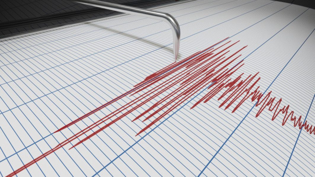 Cutremur cu magnitudinea 3,6 în zona seismică Vrancea