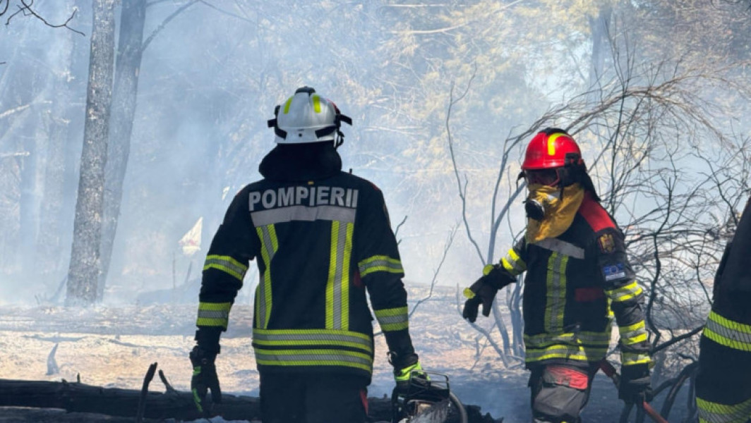 Incendiu în sudul Franței: pompierii români intervin pentru stingere