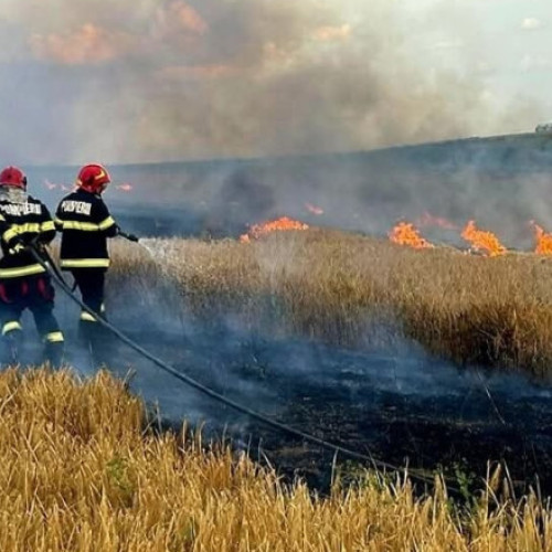 Incendii de proporții în Oltenia, peste 750 de hectare arse în doar trei zile