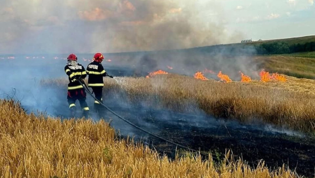 Incendii de proporții în Oltenia, peste 750 de hectare arse în doar trei zile