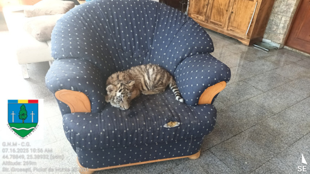 Garda Națională de Mediu a sancționat un centru de animale din Dambovița pentru condiții ilegale