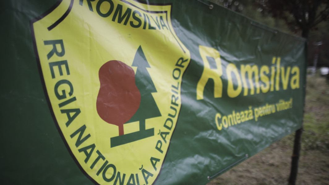 Federația Silva organizează protest în Piața Victoriei împotriva reorganizării Romsilva