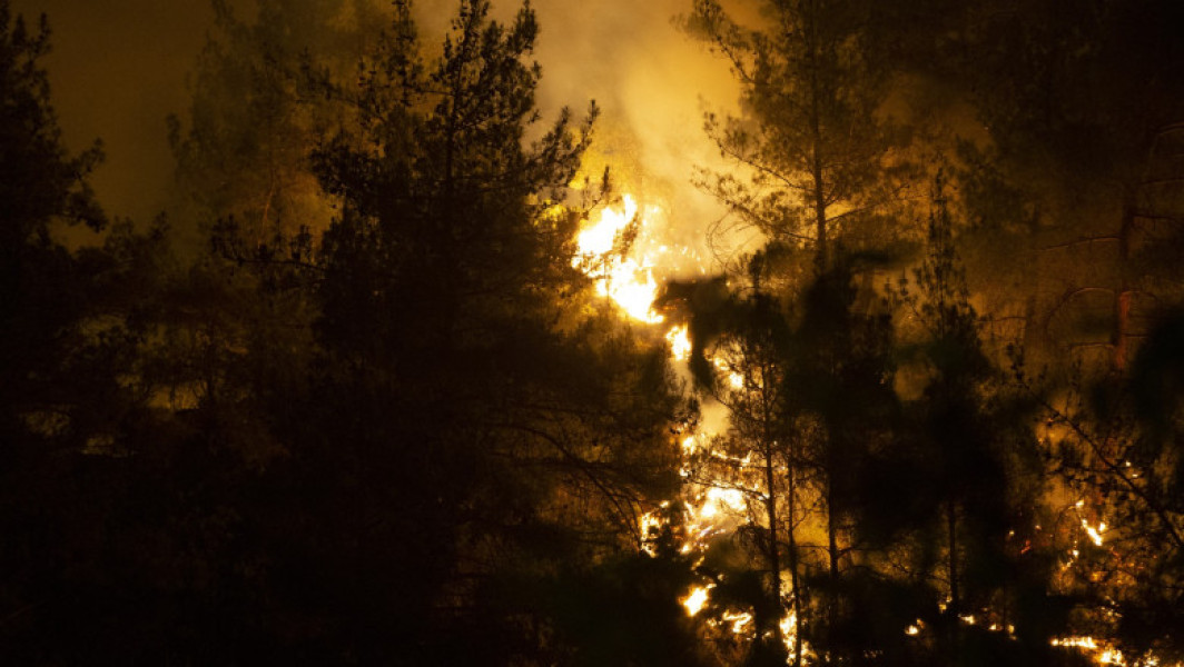 Tragedie în Turcia: zece pompieri au murit în lupta cu un incendiu de vegetație