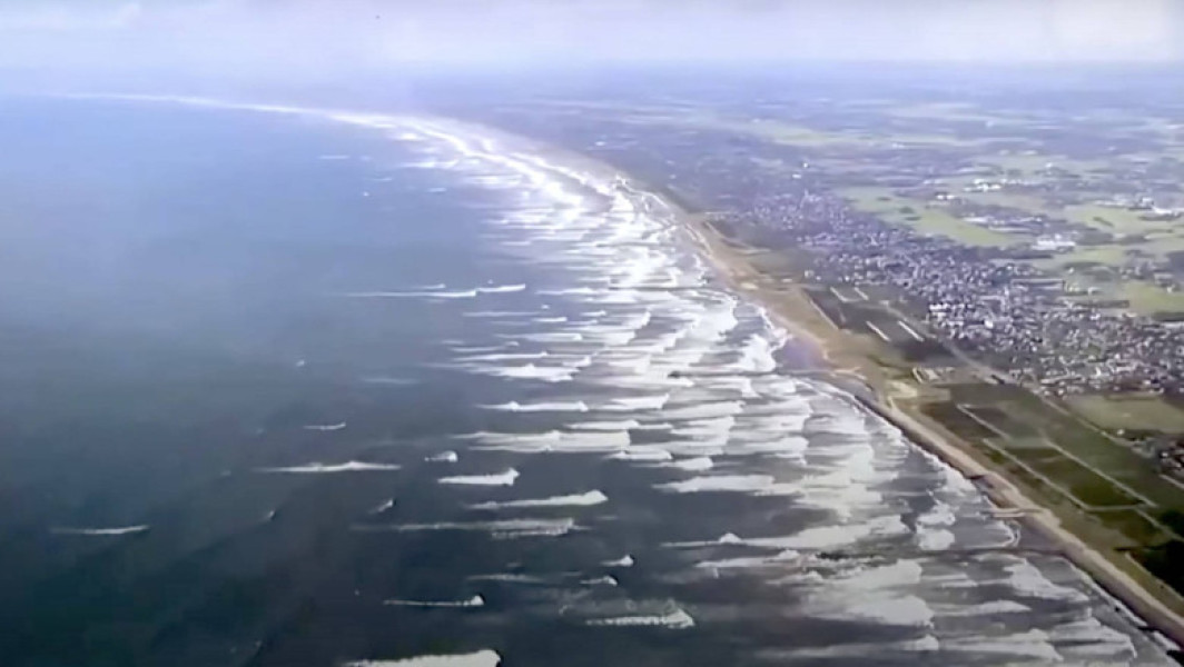 Patru balene au esuat pe coastele din Japan, în timp ce autoritățile emiseseră o alertă de tsunami, după un cutremur cu magnitudinea de 8,8 grade pe scara Richter produs în Extremul Orient rus. Camerele de filmat au surprins cel puțin patru animale marine la Tateyama, în prefectura Chiba. Momentan, nu se poate stabili cu certitudine dacă aceste balene au fost atrase de seism, însă imaginile au circulat pe televiziunile japoneze și pe rețelele sociale, notează digi24.ro.