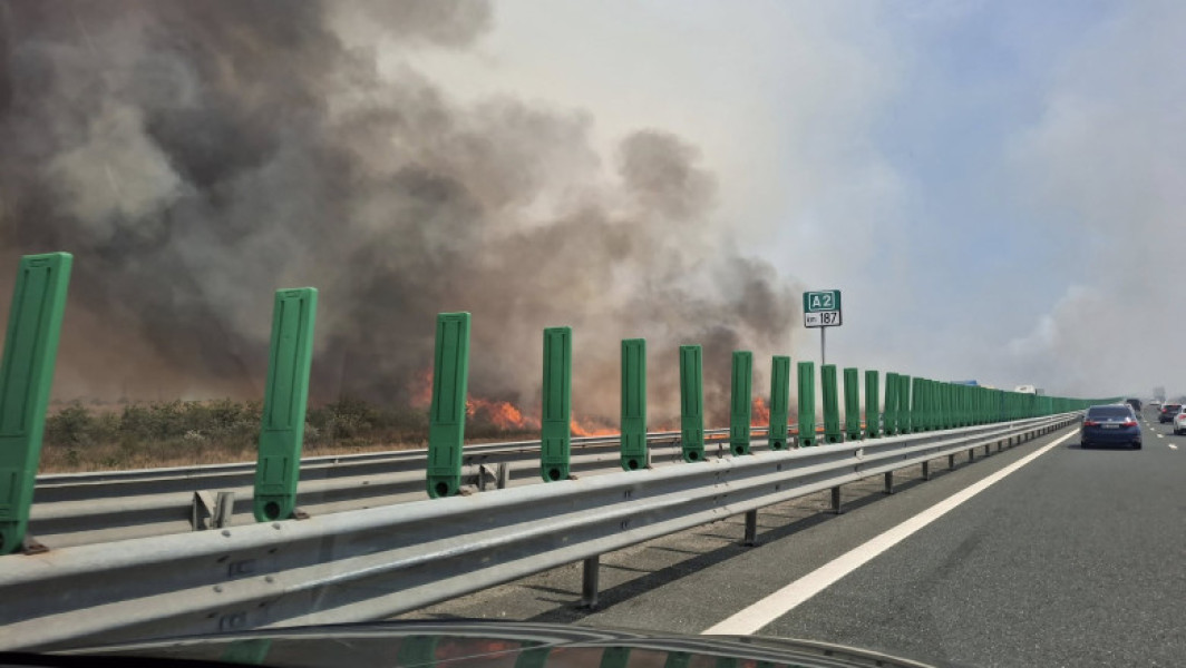 Incendiu de vegetație aproape de autostrada A2 în județul Constanța