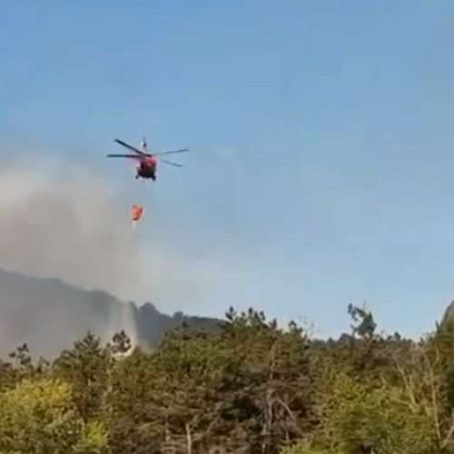 Incendiu de vegetație în județul Tulcea