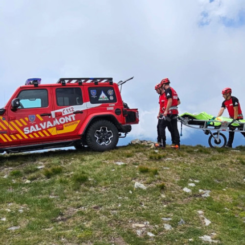 Salvamontiștii din Bistrița-Năsăud, chemați să intervină în Muntii Rodnei după un atac de câini asupra turiștilor