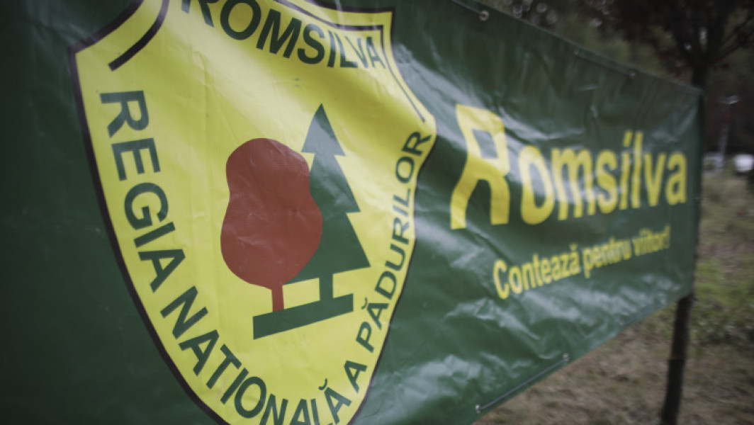 Diana Buzoianu, ministrul Mediului, a semnat noi contracte pentru patru membri ai Consiliului de Administrație al Romsilva, modificări care includ reducerea semnificativă a indemnizației lunare. Potrivit comunicatului de presă al USR, citate de digi24.ro, indemnizația brută a fost scăzută de la 12.500 lei la 5.000 lei. Buzoianu afirmă că această reducere este normală, având în vedere situația financiară a Regiei și importanța introducerii unor standarde de eficiență și echitate în gestionarea banului public.
