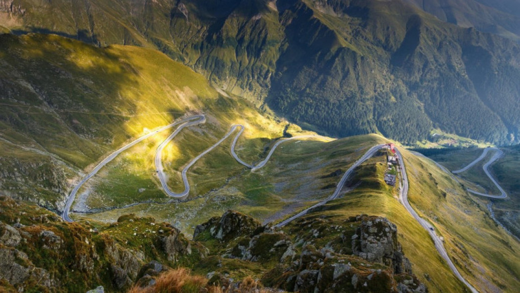 Pericolul câinilor de la stână pe traseele montane, avertisment pentru turiști