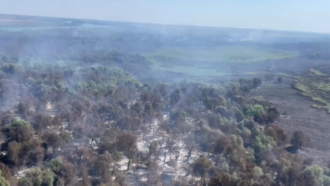 Incendiu de vegetație în Delta Dunării, cu eforturi mari de stingere