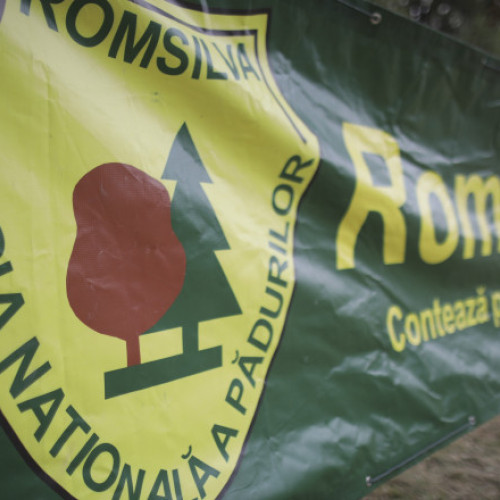 ministerul justiției: Romsilva nu poate fi reorganizată fără modificări legislative
