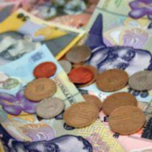 Economia României avansează lent, arată datele INS