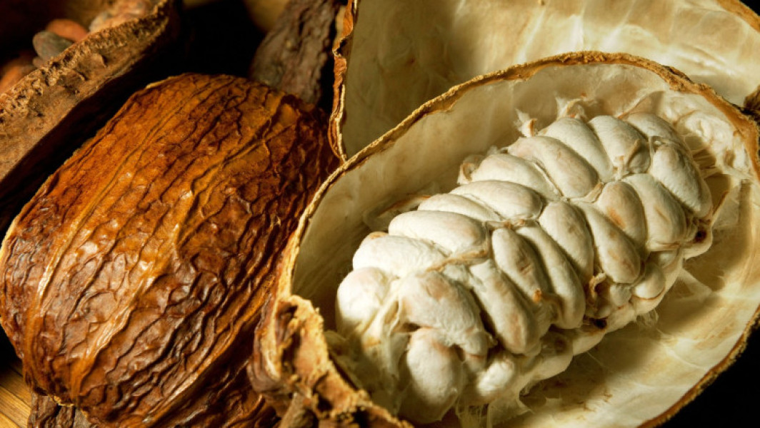 Nestlé testează o metodă inovatoare pentru producerea ciocolatei în condițiile în care randamentul pastailor de cacao scade din cauza schimbărilor climatice