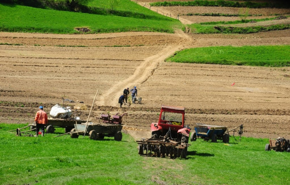 Creștere surprinzătoare a firmelor agricole active în cultivarea cerealelor în Iași și la nivel național
