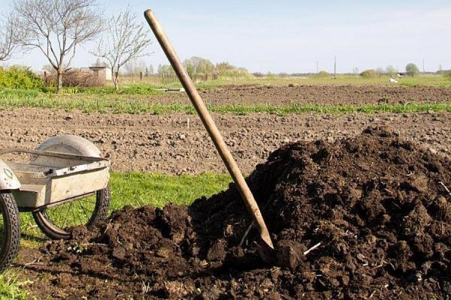 DN Agrar vizează producția de peste 150 milioane litri de lapte și agricultură circulară
