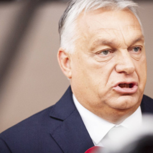 Ungaria se opune confiscării activelor rusești destinate sprijinului Ucrainei