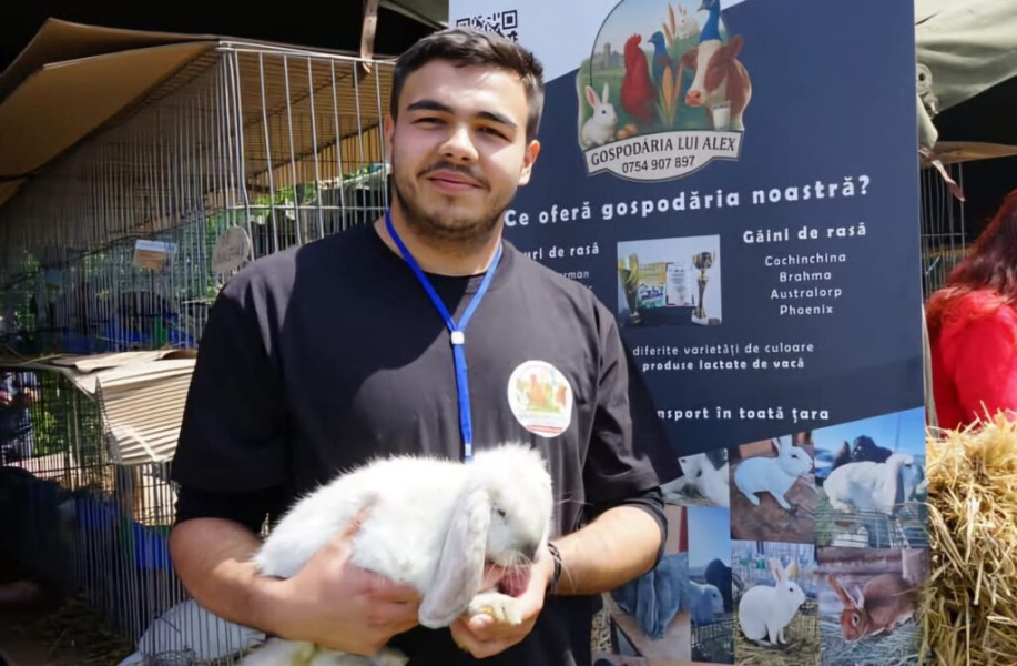 Student din Iași inițiază campanie gratuită de vaccinare pentru iepurii din comunitate