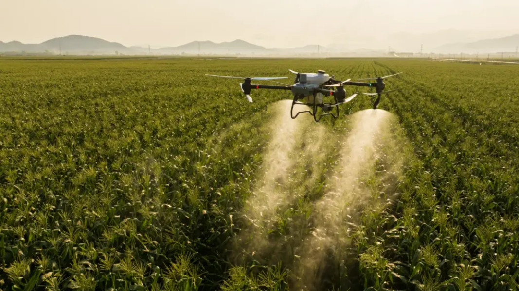Fermierii din Iași ar putea folosi drone pentru tratamente fitosanitare