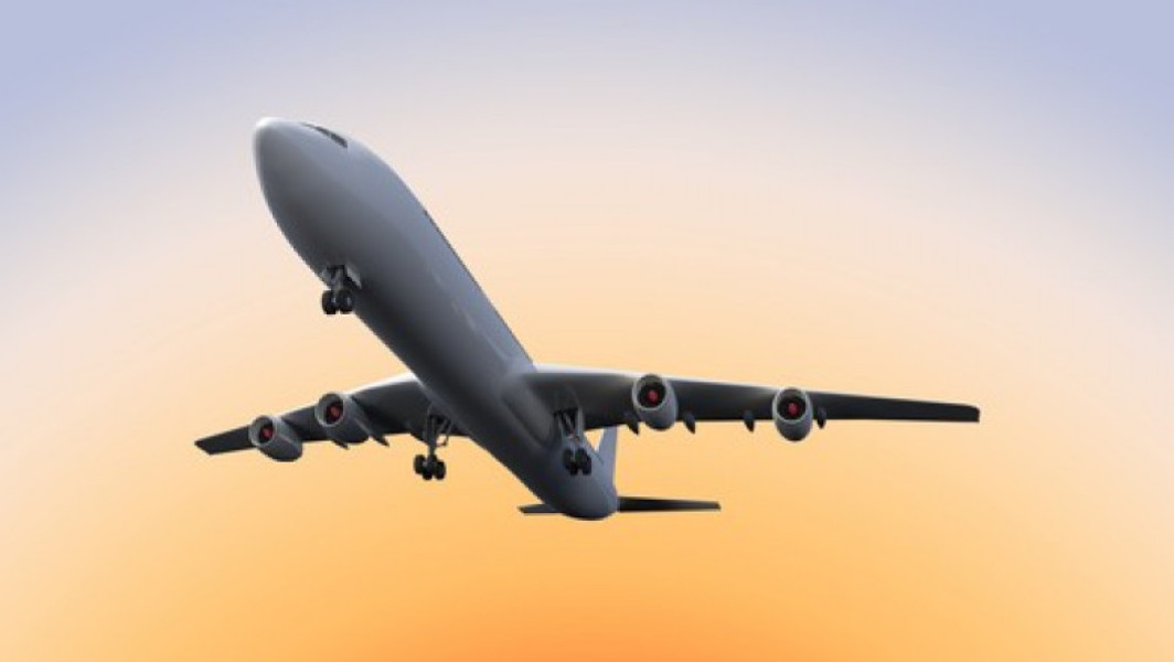 Tânăr american prins în încercarea de a fenta plata pentru bagaje pe aeroportul din Orlando