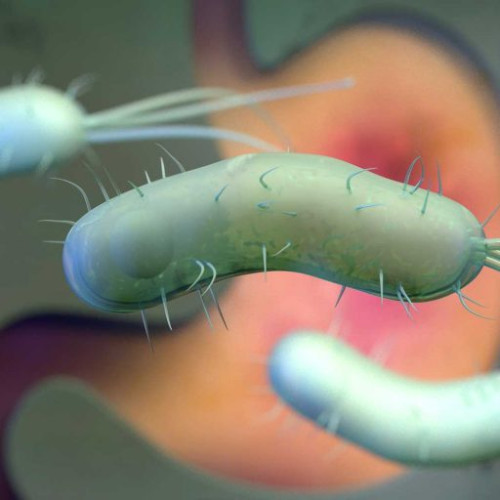 Helicobacter pylori: O Bacterie cu Răspândire Largă și Implicații Serious