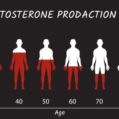 Asocierea dintre nivelul scăzut de testosteron și riscul crescut de mortalitate la bărbați