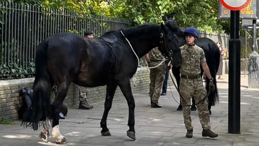 Cai militari fug speriați în centrul Londrei